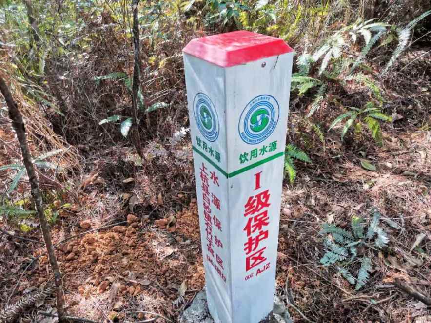 1_884_663_39.jpg 1_884_663_39.jpg