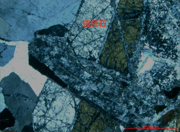 图片2.jpg 图片2.jpg