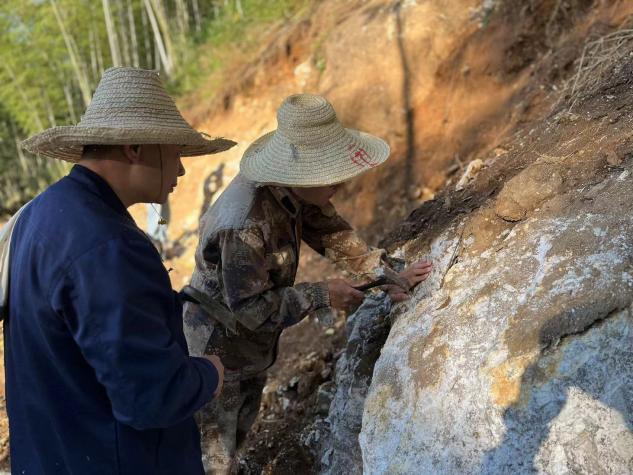 图片3.jpg 图片3.jpg