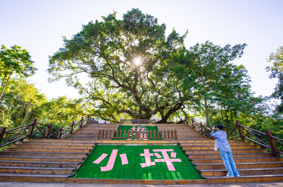 5_看图王.jpg 5_看图王.jpg